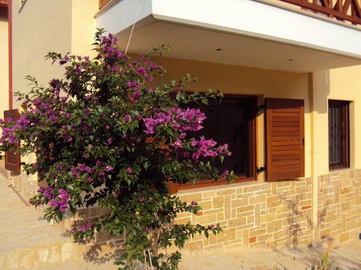 Marvelous Sea View Eco Apt Amoliani Bagian luar foto